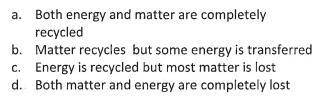 Help! Which of the following describes energy and matter in ecosystems? Explain why you chose your