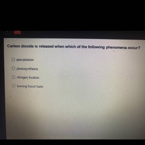 Carbon dioxide is released when which of the following phenomena occur?