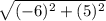 \sqrt{(-6)^{2} + (5)^{2} }