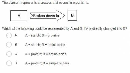 The diagram represents a process that occurs in organisms.

Which of the following could be repres