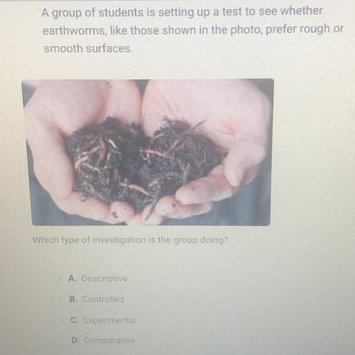 A group of students is setting up a test to see whether

earthworms, like those shown in the photo
