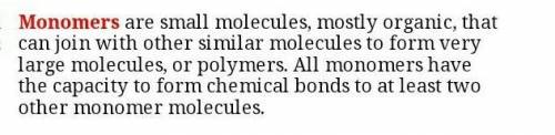 Describe the term monomer