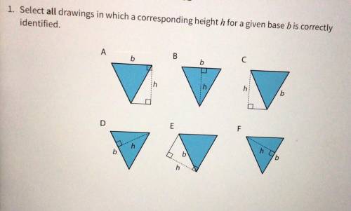 1. Select all drawings in which a corresponding heighth for a given base bis correctly

identified