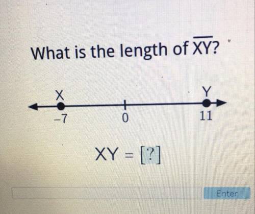 What is the length of XY?