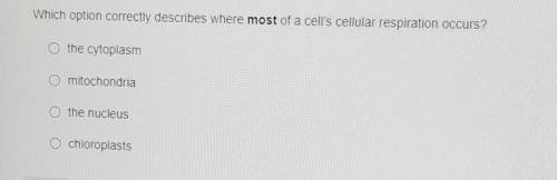 Which option correctly describes where most of a cells cellular respiration occurs?

1. the cytopl