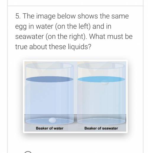 A. The seawater is less dense than the plain water.

B. The seawater is denser than the plain wate
