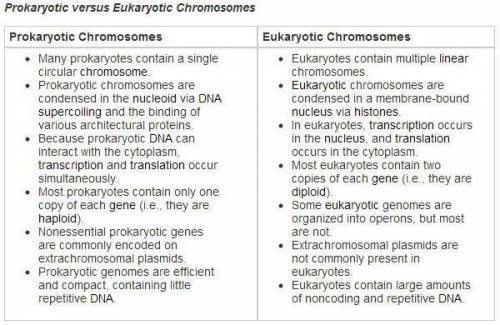 Prokaryotic vs Eukaryotic cells
