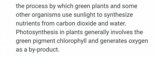 What is photosynthesis______________________&__