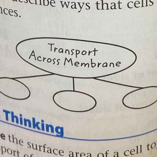 9 Copy and fill in the graphic organizer

below to describe ways that cells transpor
substances.
T