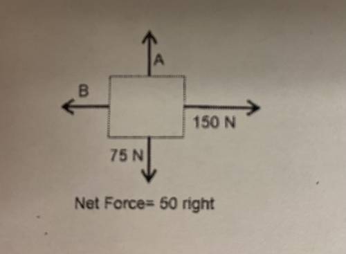 What are the values of the missing forces
A.
B.
