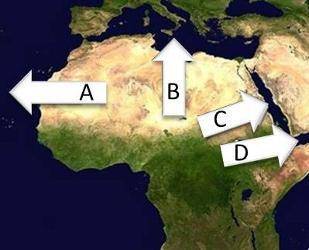 Analyze the map below and answer the questions that follow.

A satellite image of Africa with 4 ar