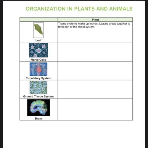 The chart below includes images of different structures found in animals or plants for each structu