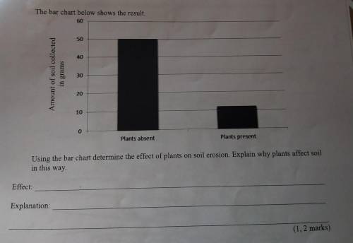 Using the bar chart determine the effect of plants on soil erosion. Explain why plants affect soil