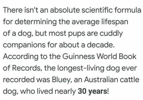 How long does a dog live for? 
50 points