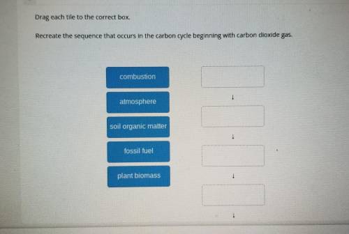 Recreate the sequence that occurs in the carbon cycle beginning with carbon dioxide gas
