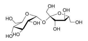 The image below is a...

Amino Acid
Carbohydrate
Lipid
Nucleic Acid