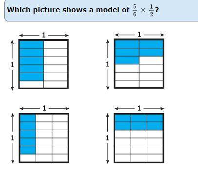 Which one shows the correct model?