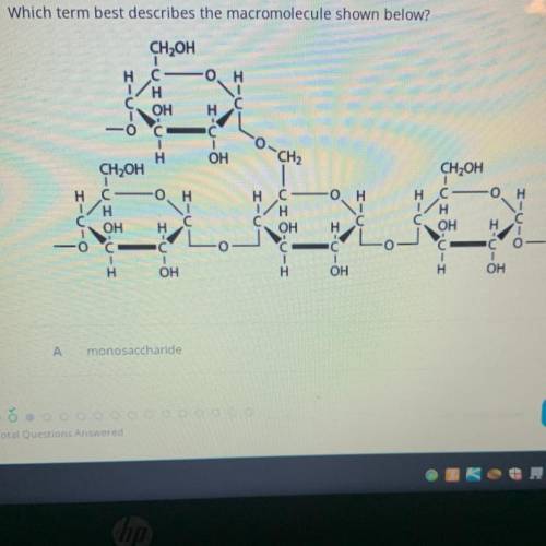 Please help me i’ll give brainlist

a- monosaccharide
b- polysaccharide
c- amino acid 
d-nucleic a