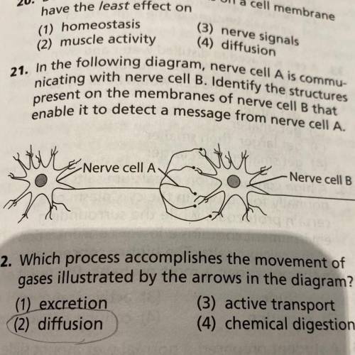 Please someone answer question #21