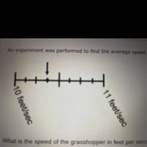 So here are the questions,

- what is the speed of the grasshopper in feet per second?
- convert t