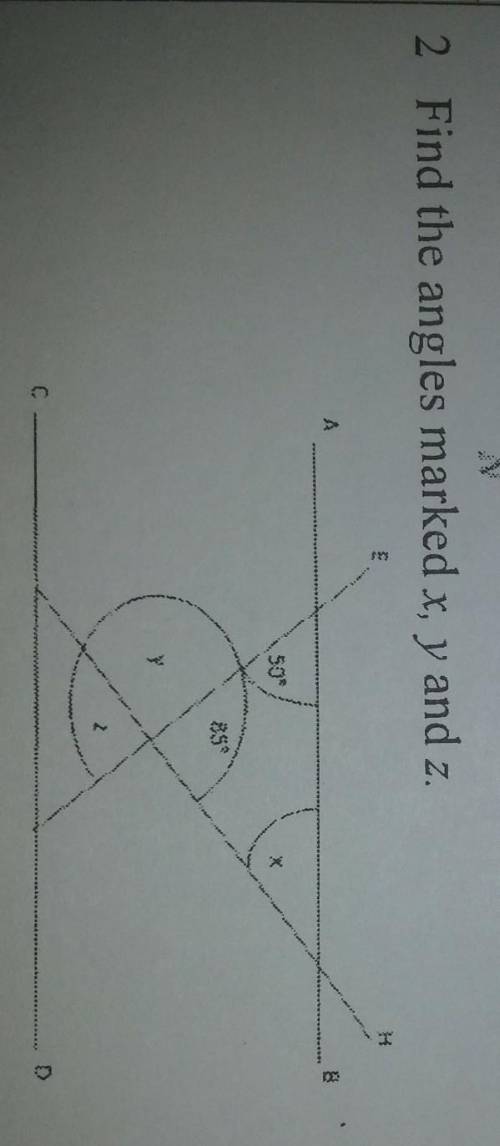 Find the angles marked x,y and z.ASAP