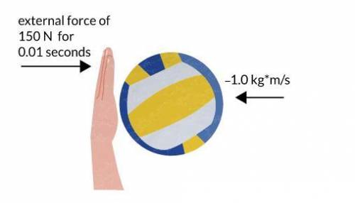 A volleyball that has an initial momentum of -1.0 ⋅ kg⋅m/s changes direction after a hand hits it w