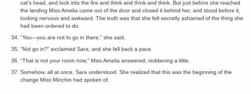 You have read an excerpt from A Little Princess. Consider how Sara is feeling in this passage. How