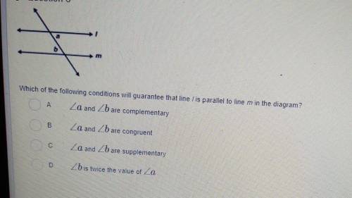 I need help with this question please no Link's