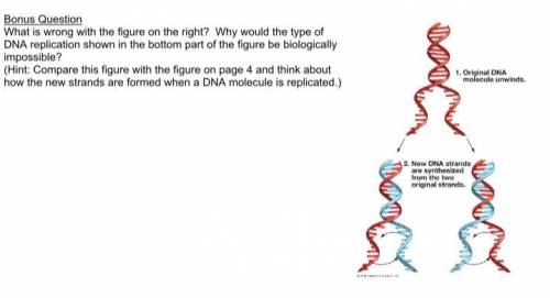 Please help with biology!