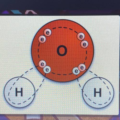 What would you name this molecule?