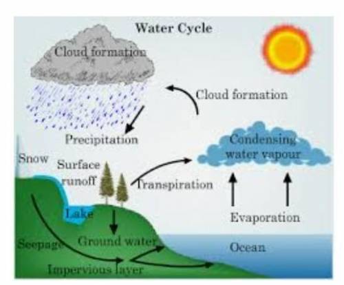 Answers my questionDefine/Explain water cycle with digramPls don't spam