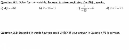 Solving Algebraic Equations answer with step