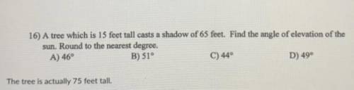 Need help please explain how you got the answer.