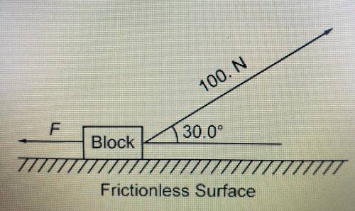 The diagram below shows a block on a horizontal, frictionless surface. A 100.-newton force acts on