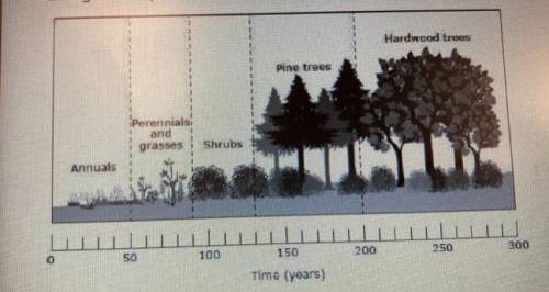 Secondary succession occurs following triggers such as logging, mining, wildfires, or

drought. Th