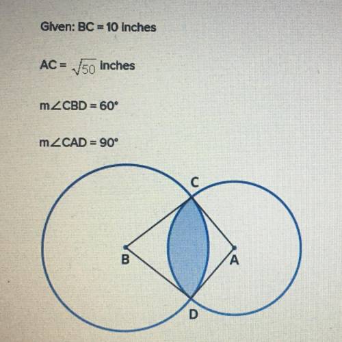 Glven: BC = 10 inches
AC = sqrt 50 inches
mCBD = 60°
mCAD = 90°