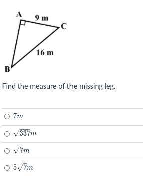 Find the measure of the missing leg