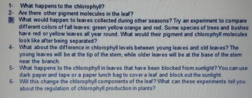 Experiment about chlorophyll extraction plz help .
