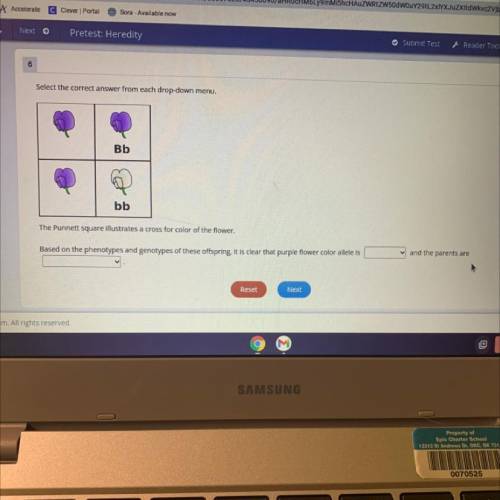 Select the correct answer from each drop-down menu.

Bb
bb
The Punnett square illustrates a cross