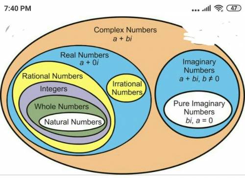 Picture of complex number system