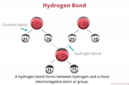 Explain hydrogen bonding ?