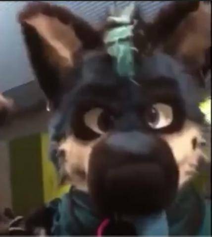 Could somebody out there go on disc ord and ask who this fursuiter is? Mr friend jake needs it but