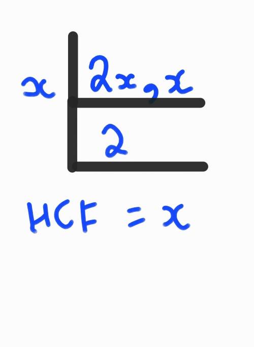 What is the HCF of 2x and x