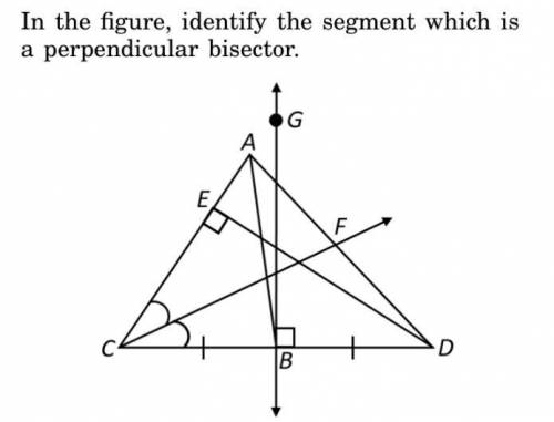 In the figure, identify the segment which is a perpendicular bisector.