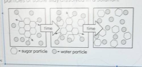 Using the picture above, explain why is permeant ink insoluble in water.