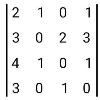 1) Marque a alternativa que corresponde com o valor do determinante representado na figura

- 6
41
