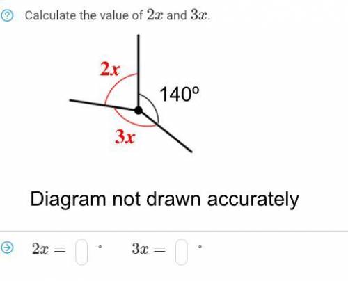 Calculate the value of 2x and 3x