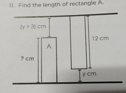 Someone help me please? i need help. How do you do this?