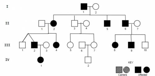 The pedigree below depicts a dominant trait. What is the genotype of individual I-1 (use the letter