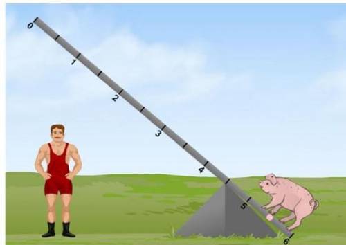 The strongman lifts the pig by pulling down at position 1. How will the distance that he pulls down